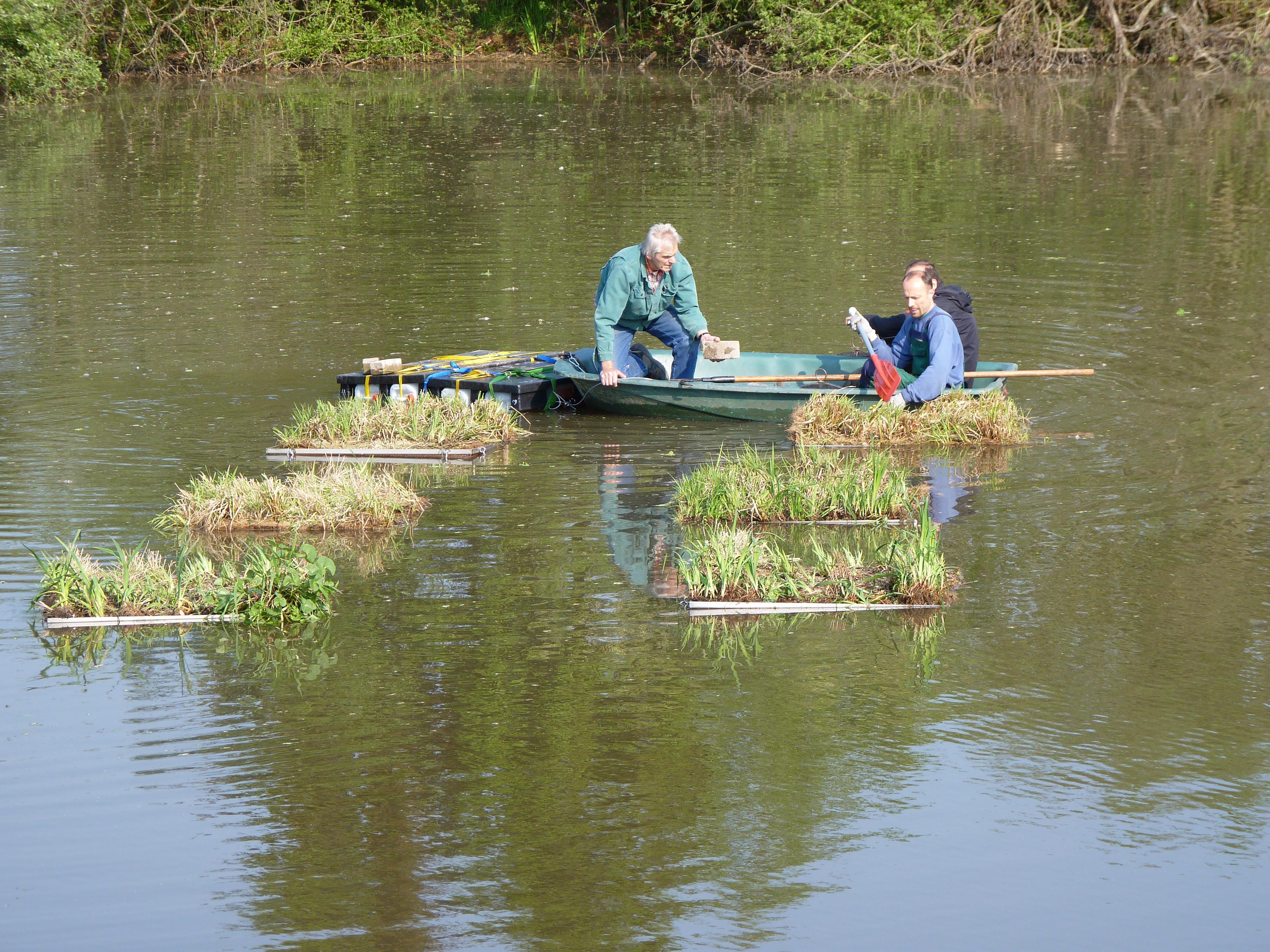 Das Biotop "Laudiek" in Glandorf
