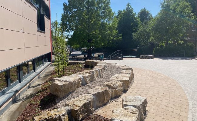 Image - Grünes Amphitheater: Realschule Bad Iburg baut um