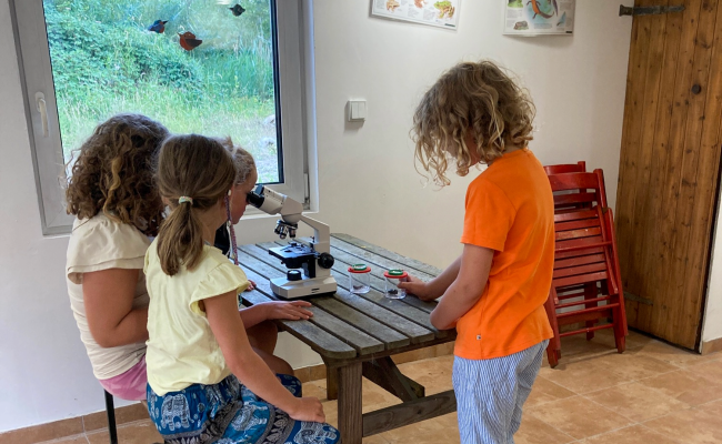 Image - Gestaltung eines „Forscherhauses“ für Umweltbildung in Bad Rothenfelde